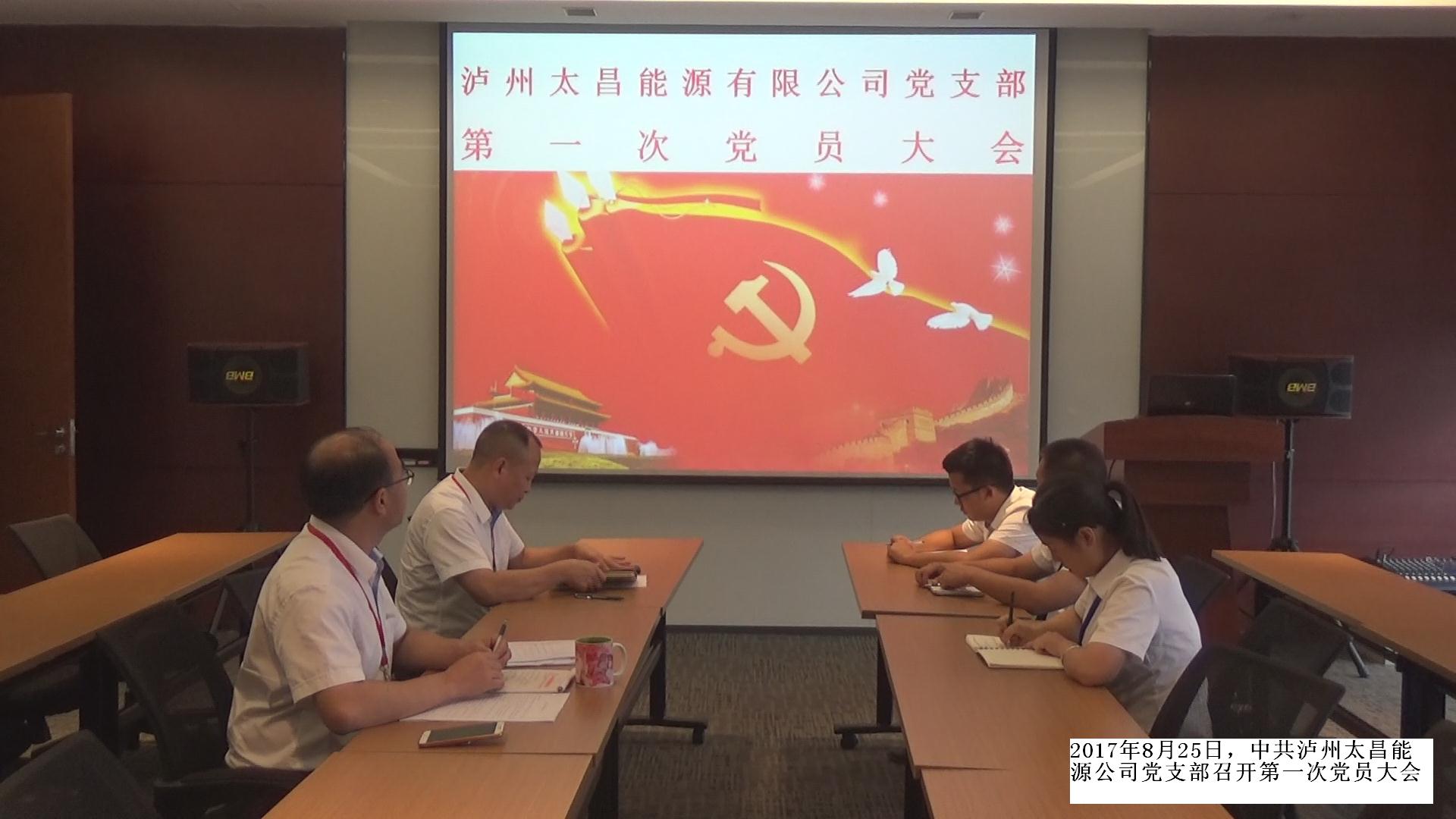 公司黨支部組織召開第一次黨員大會(huì)